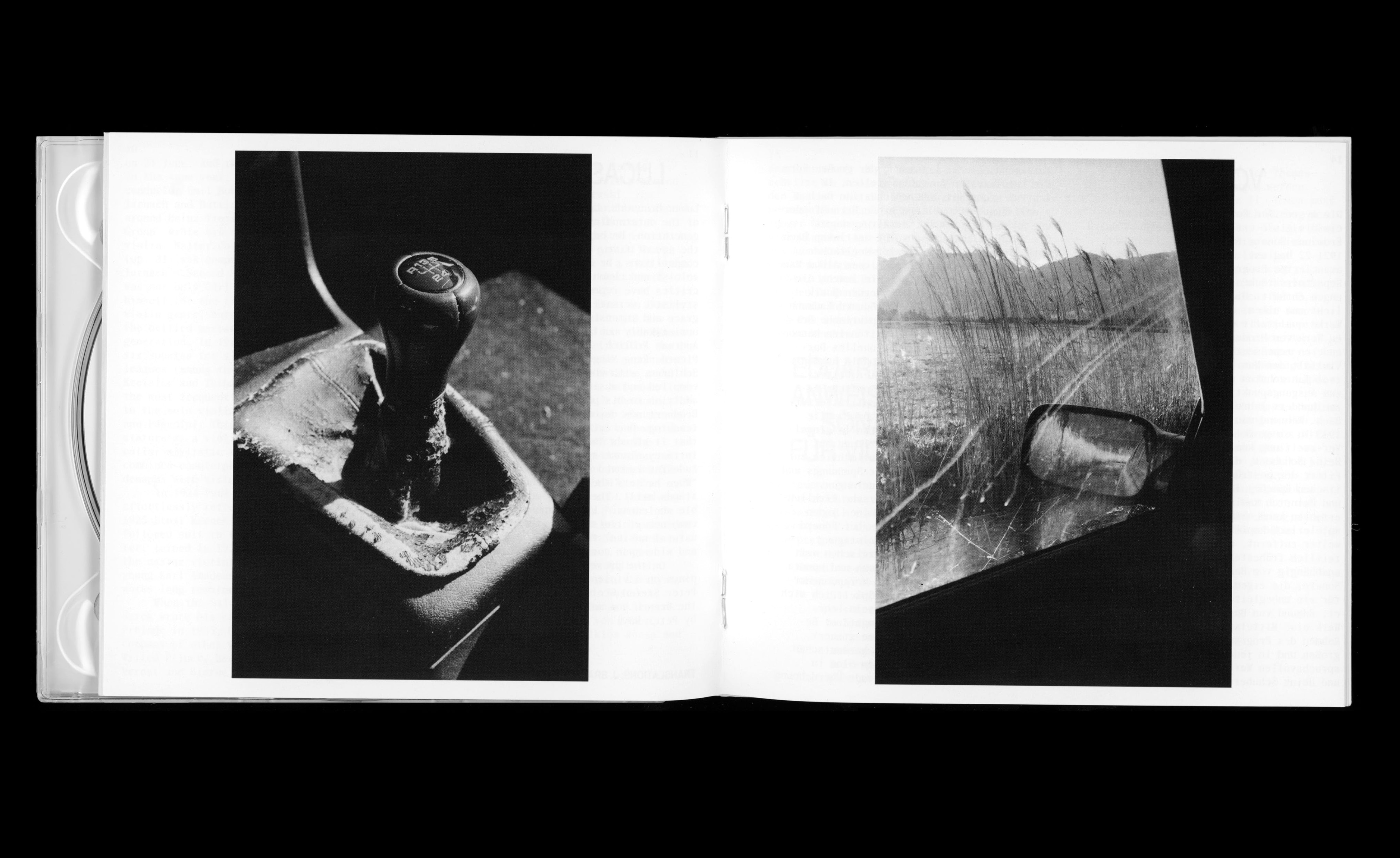 Daily Dialogue, project: Aldilà Records (Fig. 2)