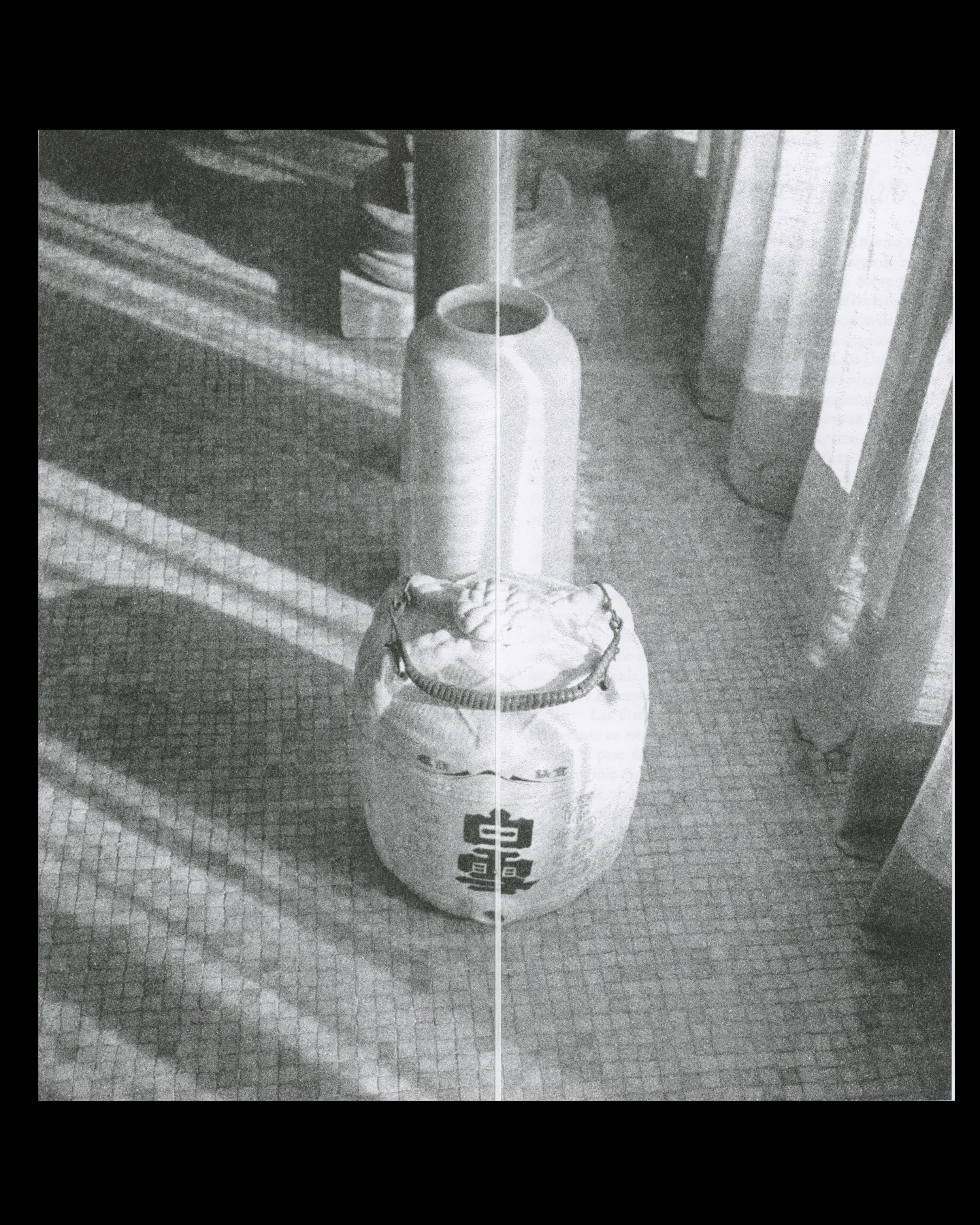 Daily Dialogue, project: La Mano derecha untada de azúcar la mano izquierda cubierta de harina (Fig. 2)