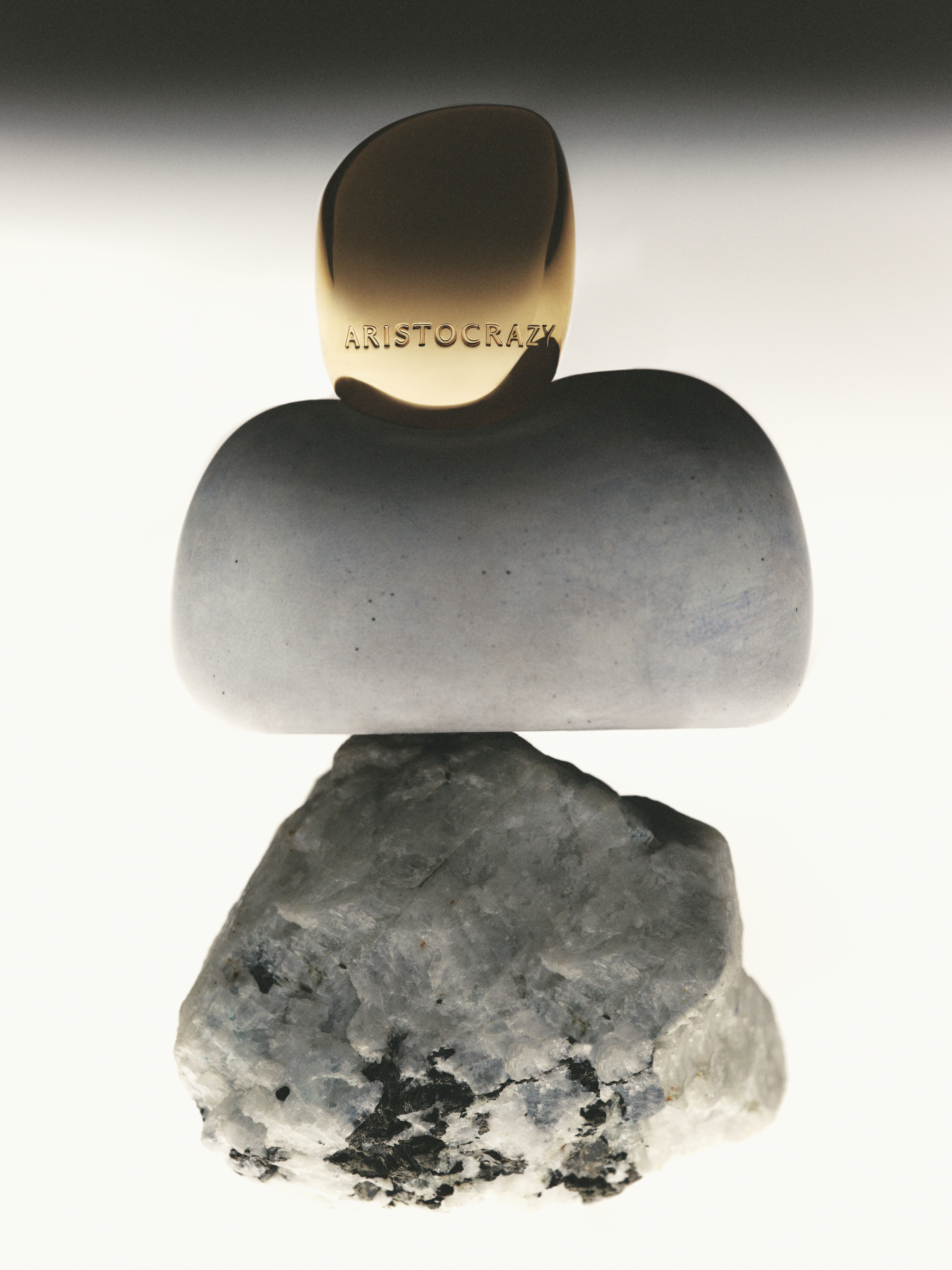 Daily Dialogue, project: Aristocrazy (Fig. 6)