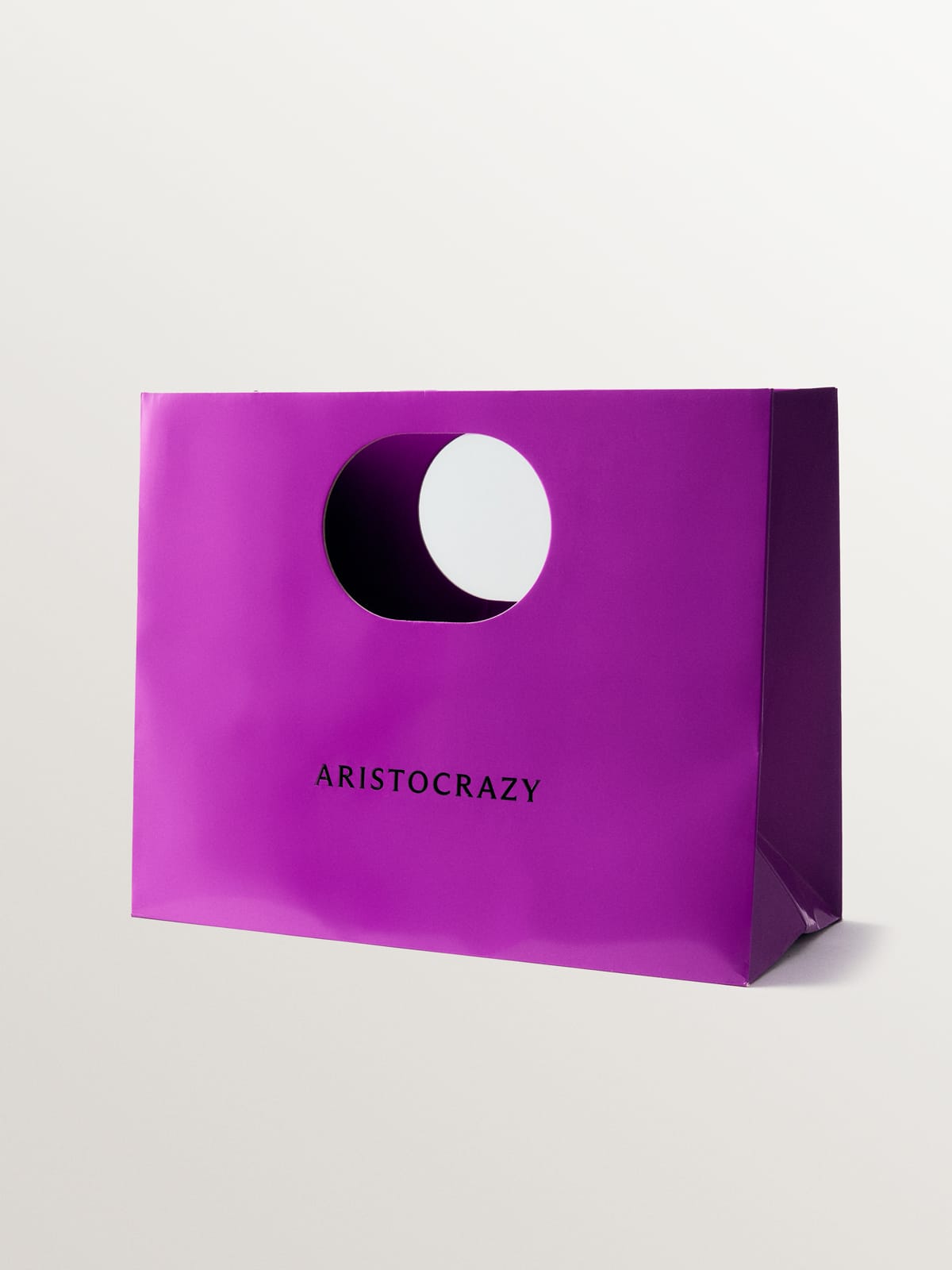 Daily Dialogue, project: Aristocrazy (Fig. 4)