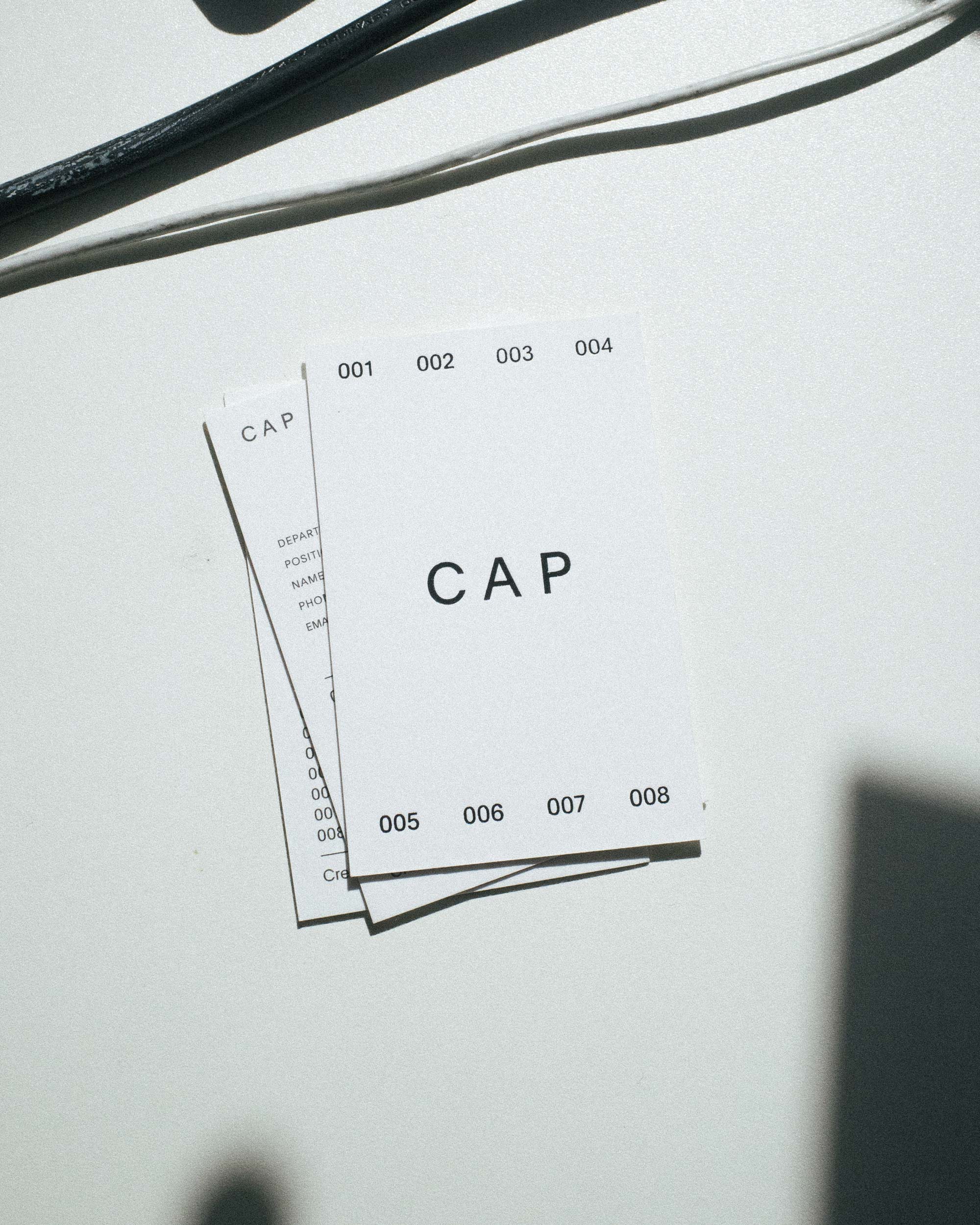 Daily Dialogue, project: Cap Dept. (Fig. 2)