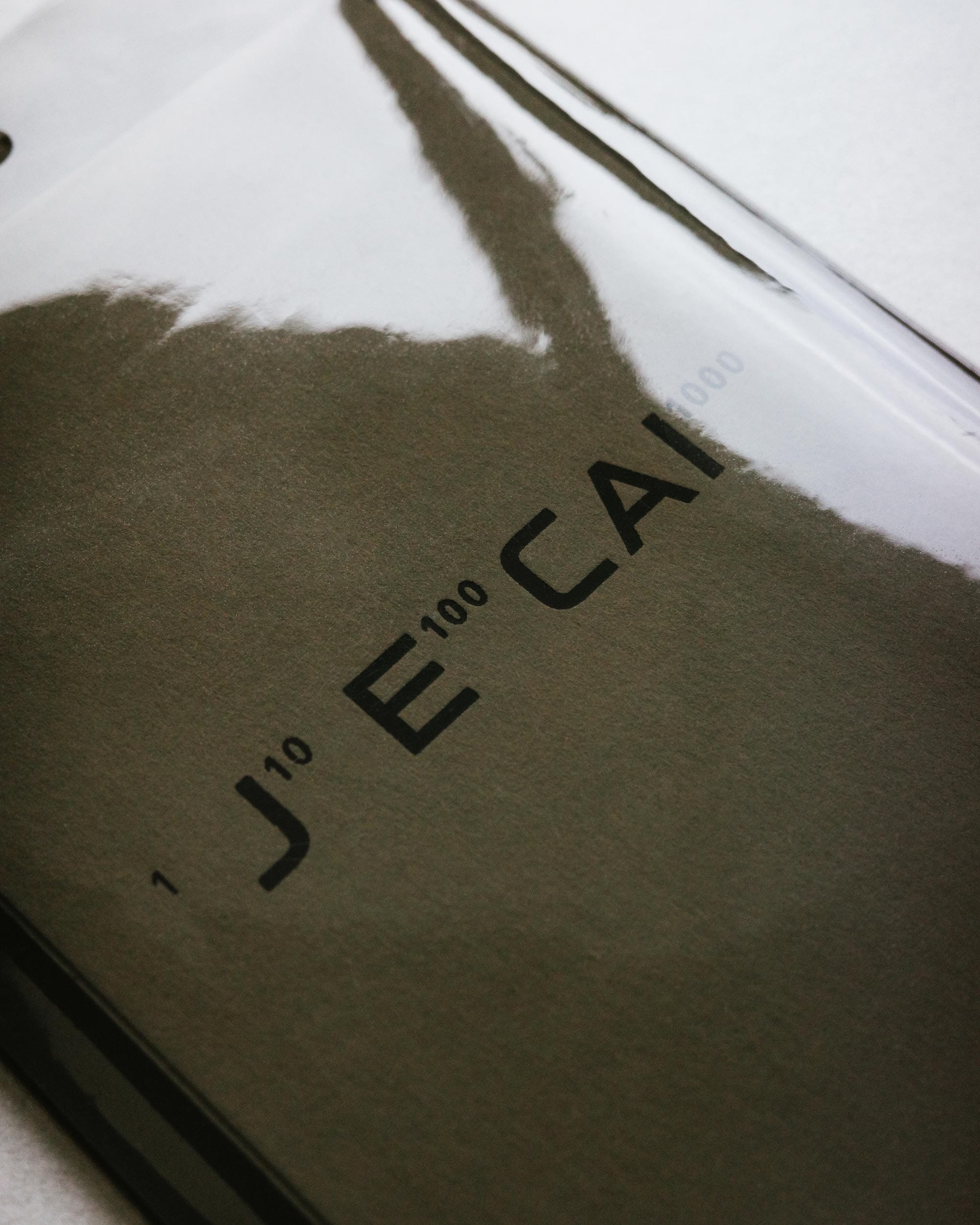 Daily Dialogue, Work: J E CAI (Thumbnail)