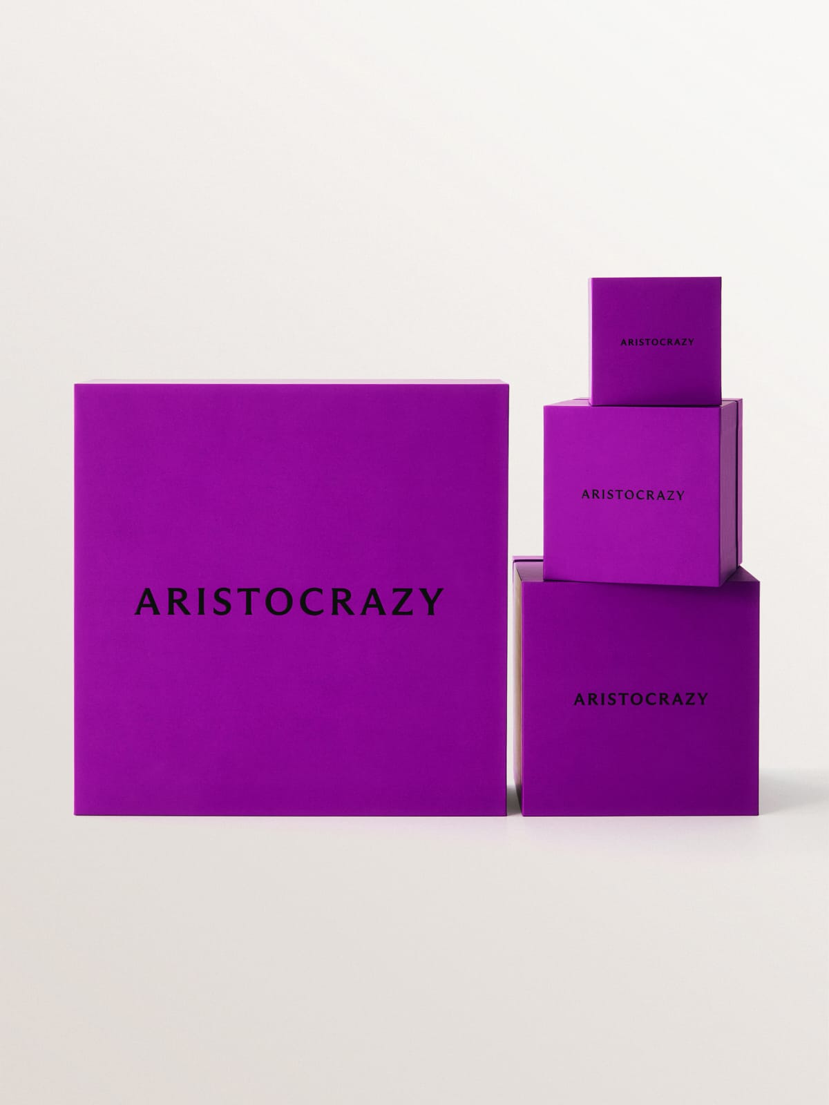 Daily Dialogue, project: Aristocrazy (Fig. 1)