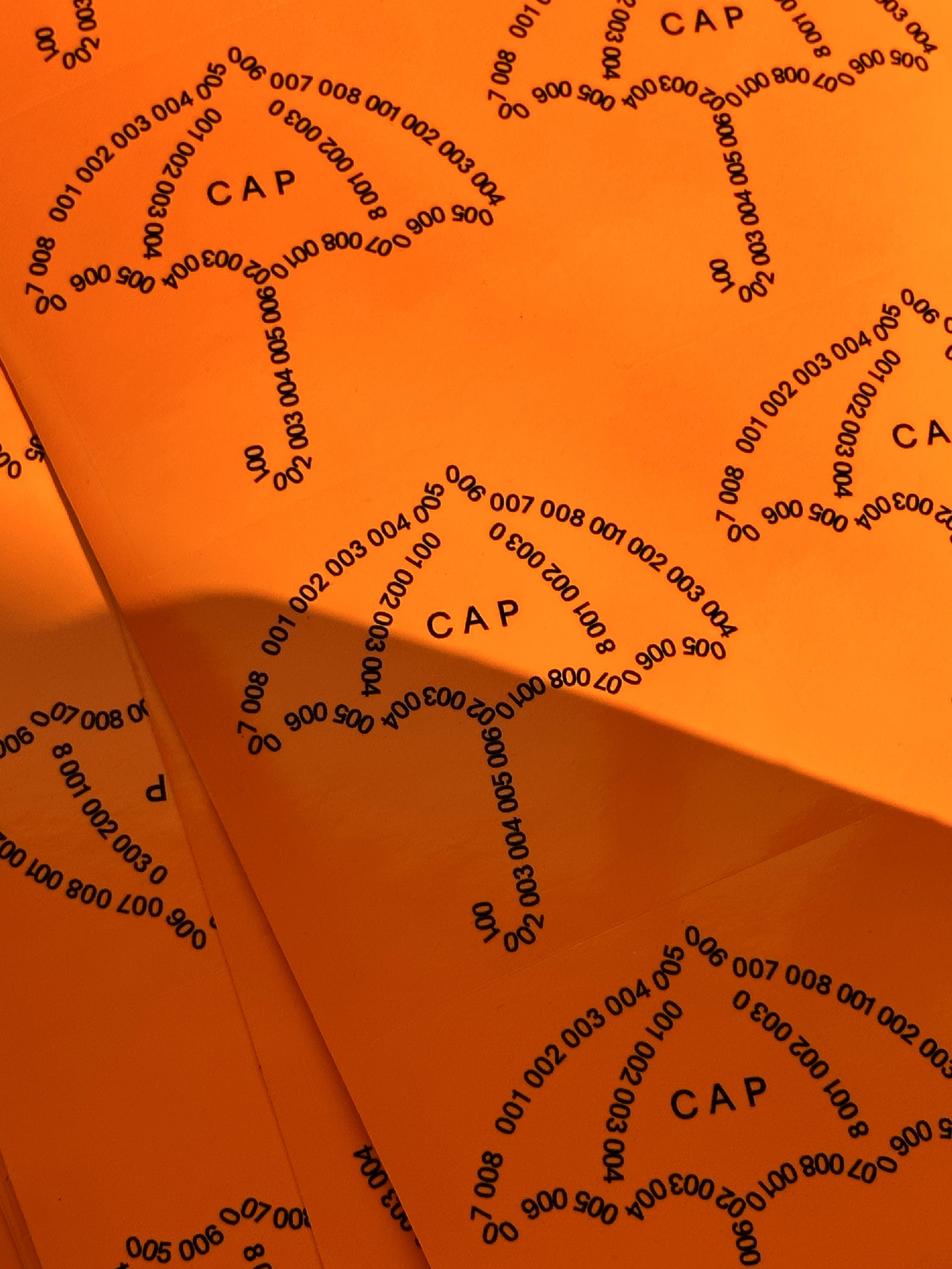 Daily Dialogue, project: Cap Dept. (Fig. 9)