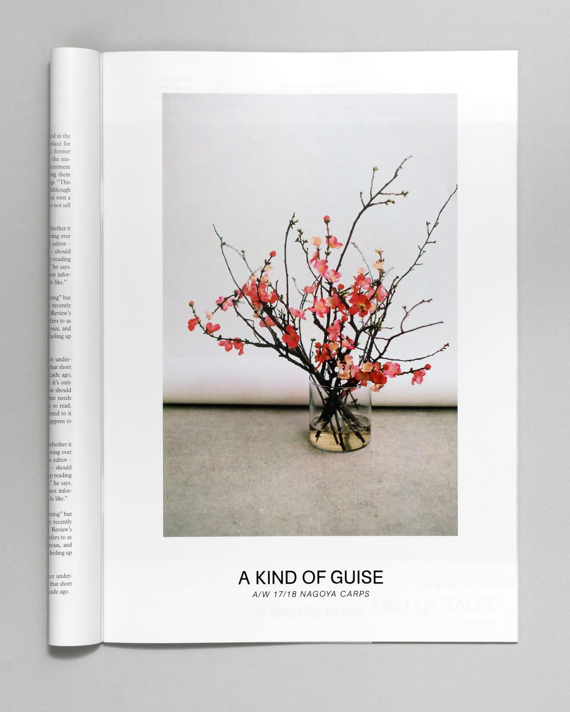 Daily Dialogue, project: A Kind of Guise (Fig. 10)