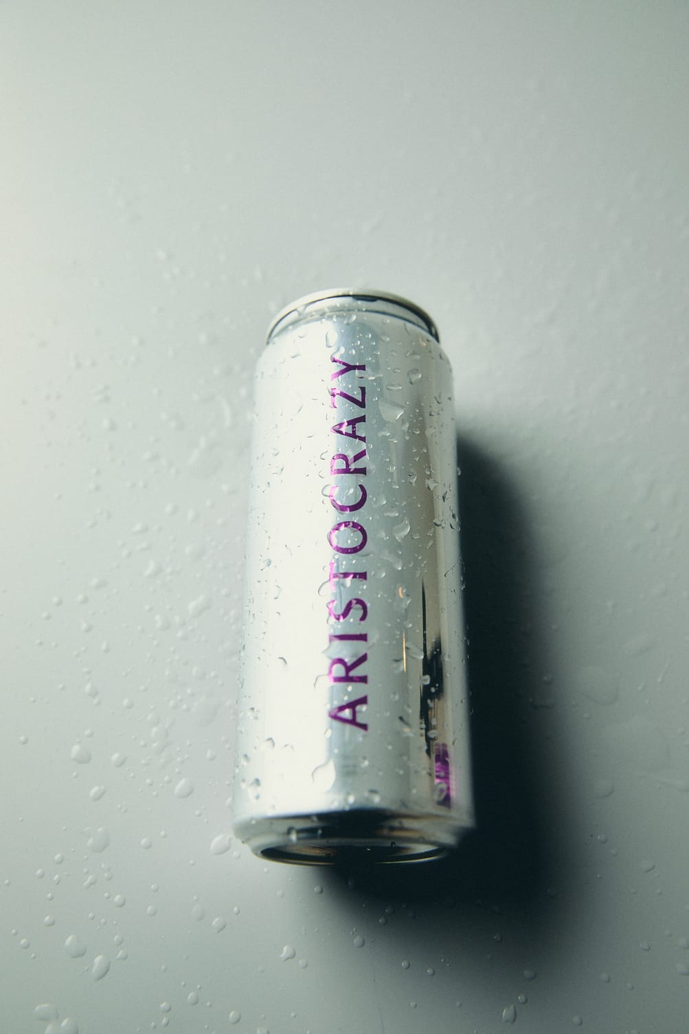 Daily Dialogue, project: Aristocrazy (Fig. 9)