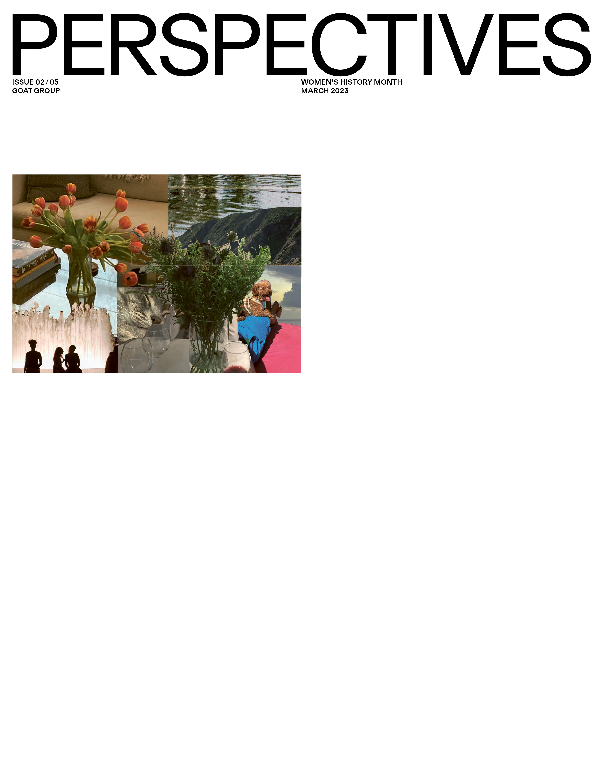 Daily Dialogue, project: GOAT Perspectives (Fig. 4)