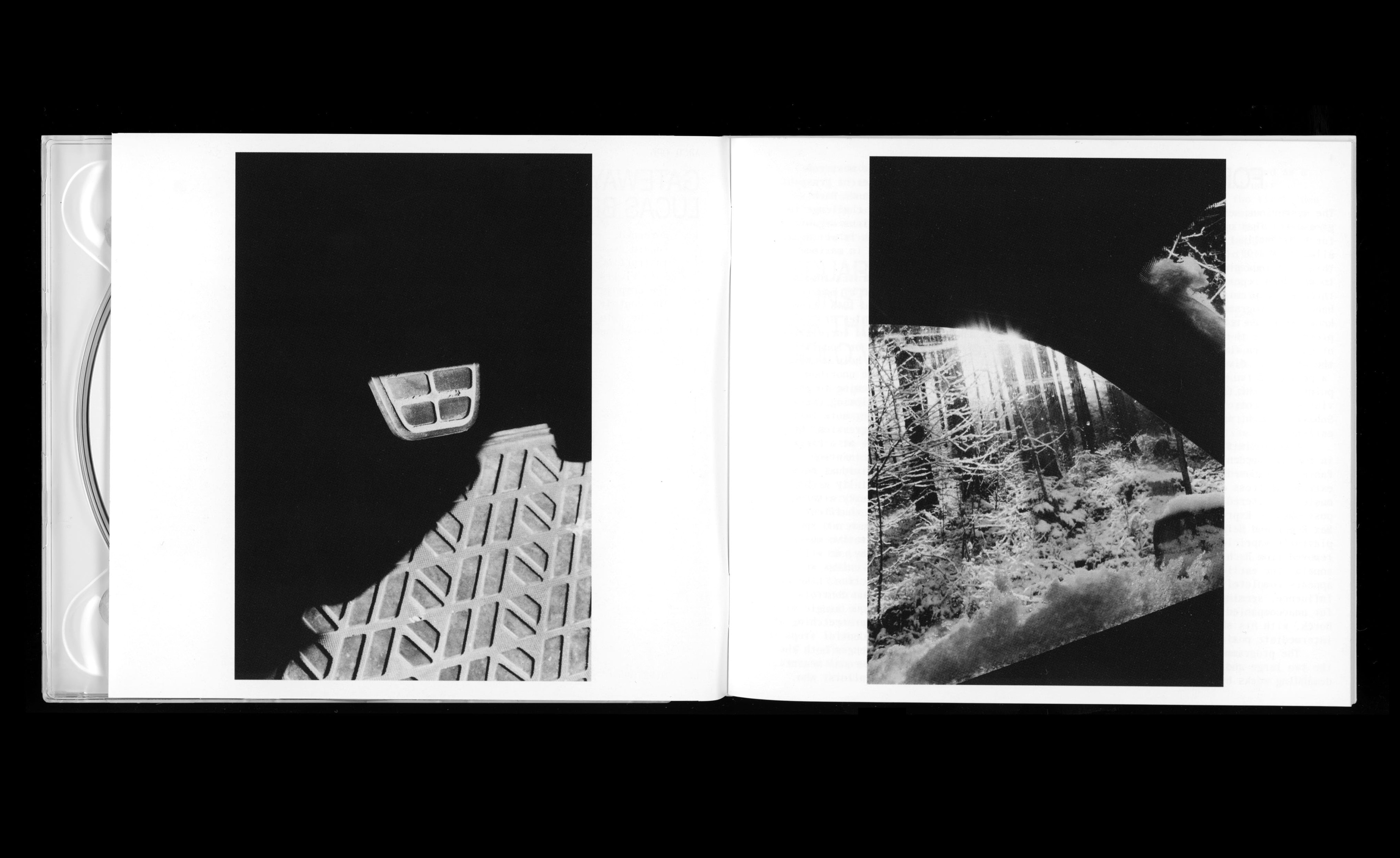 Daily Dialogue, project: Aldilà Records (Fig. 2)