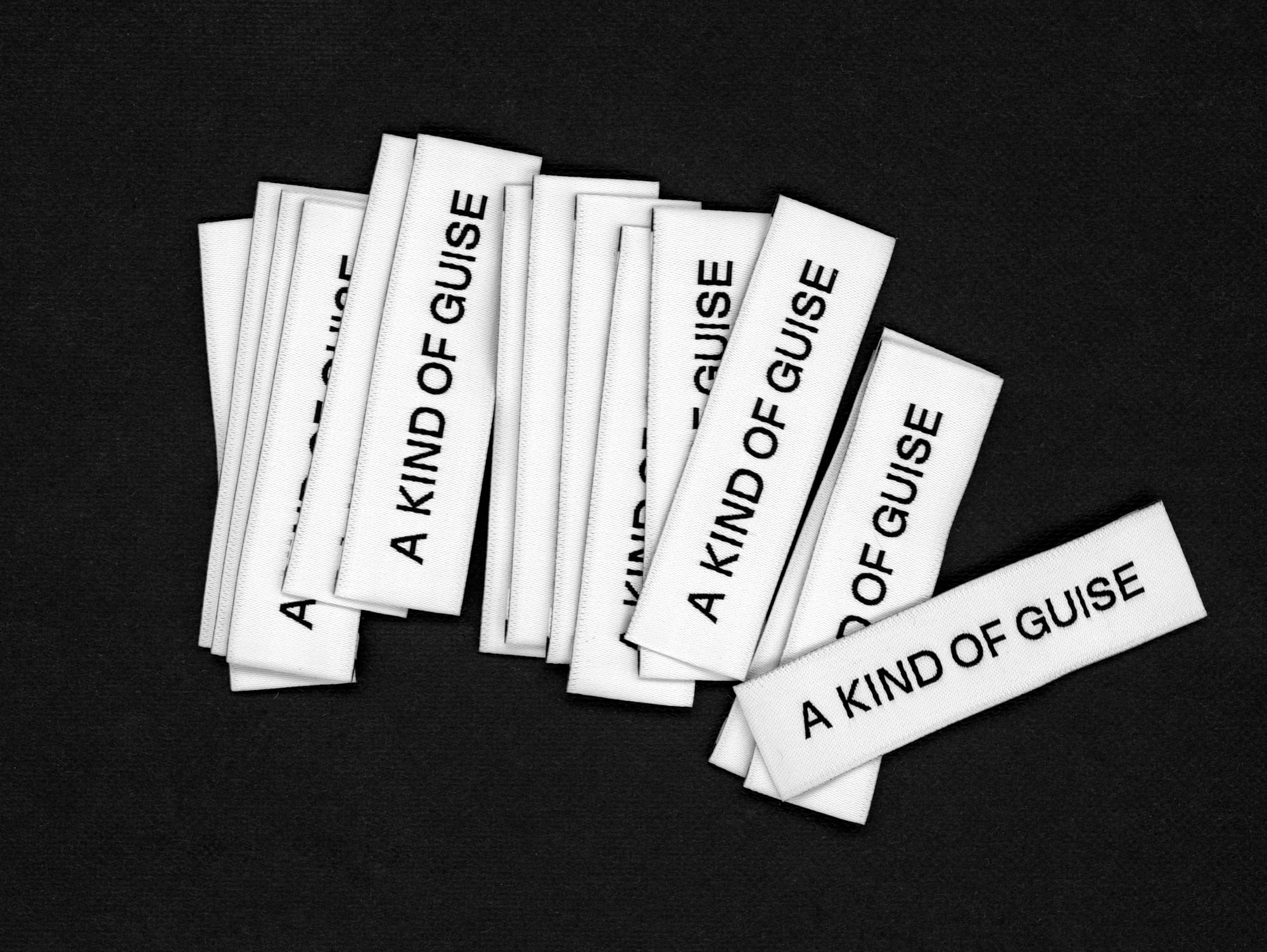 Daily Dialogue, project: A Kind of Guise (Fig. 6)