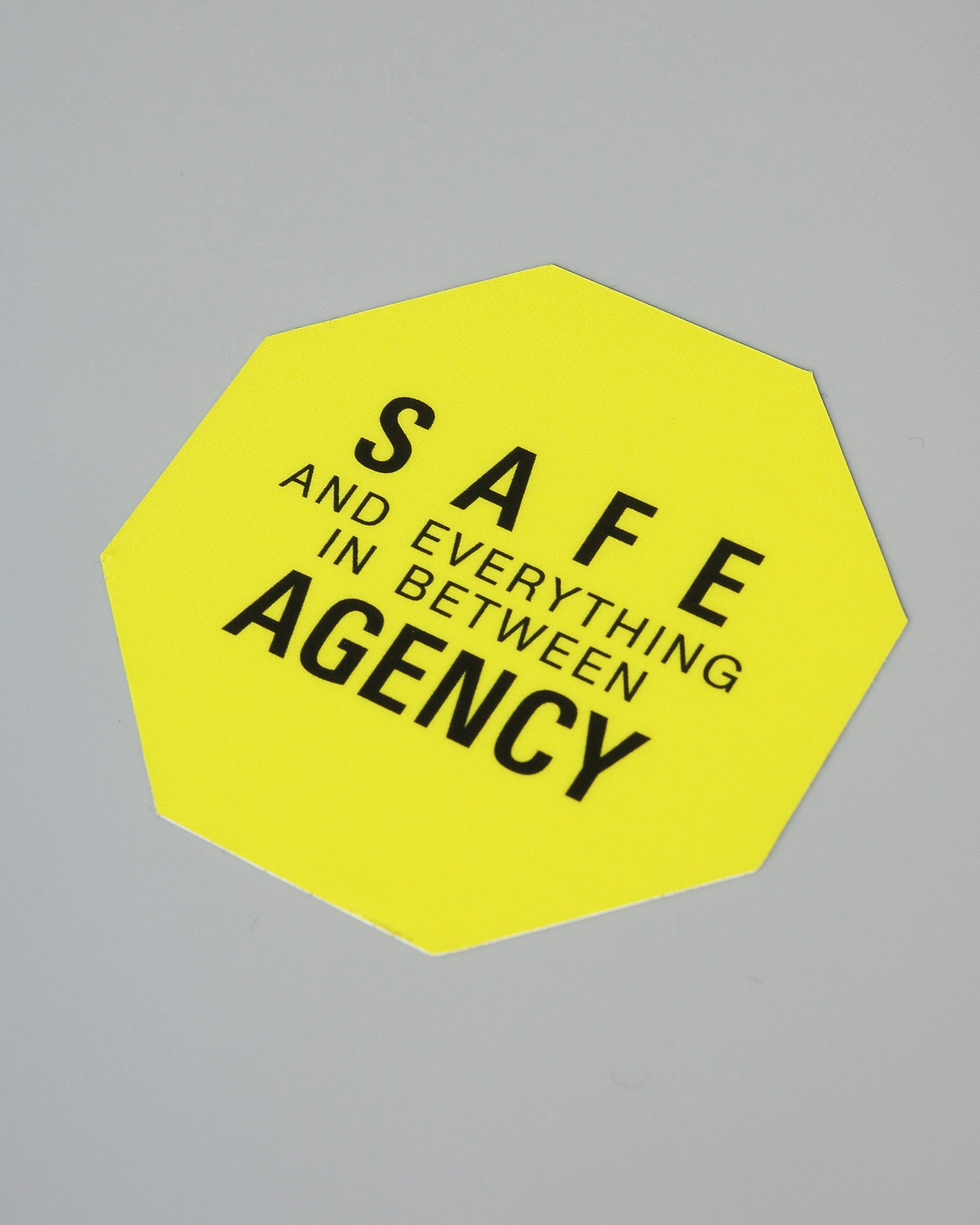 Daily Dialogue, project: SAFE AGENCY (Fig. 1)