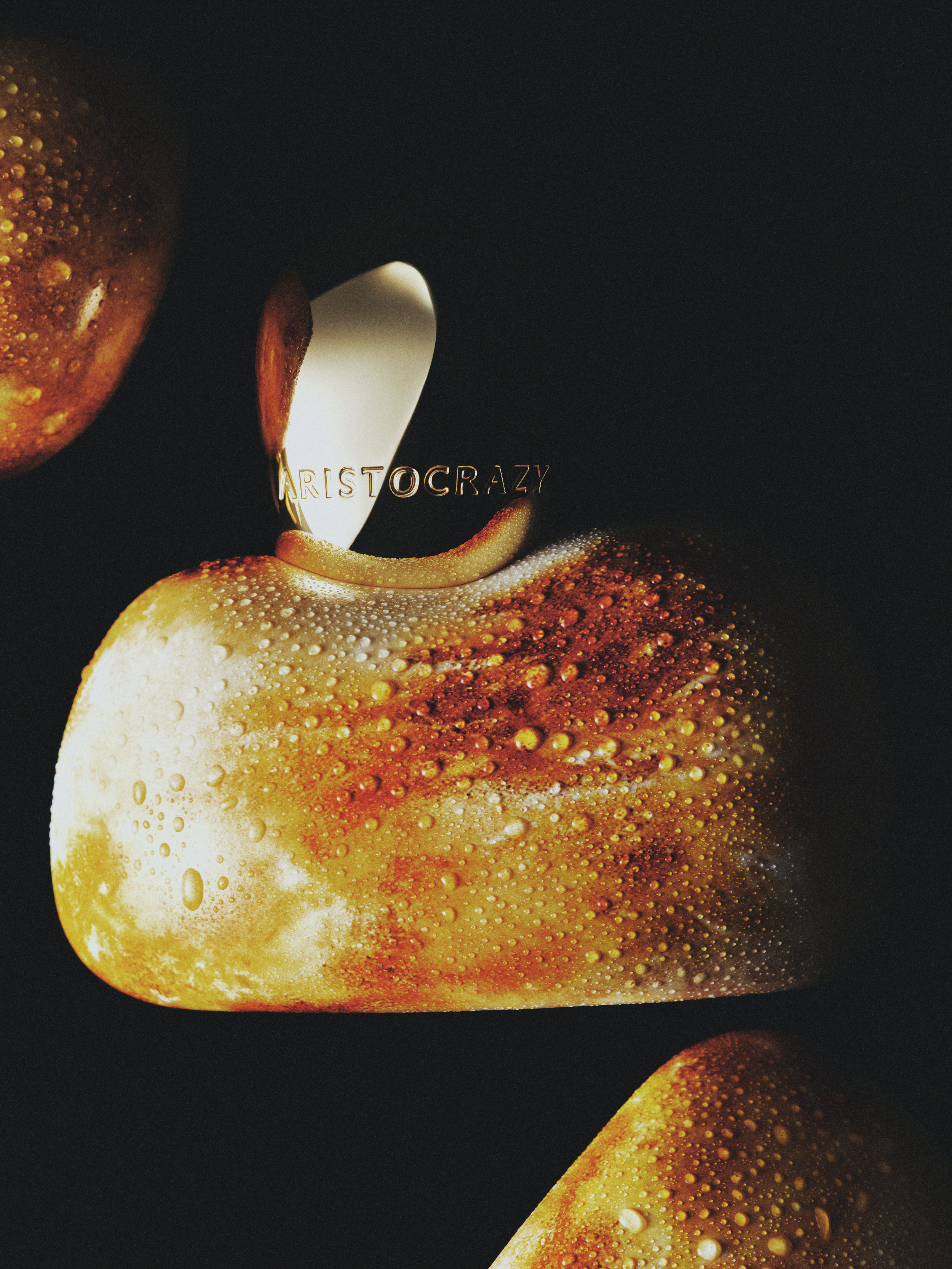 Daily Dialogue, project: Aristocrazy (Fig. 11)