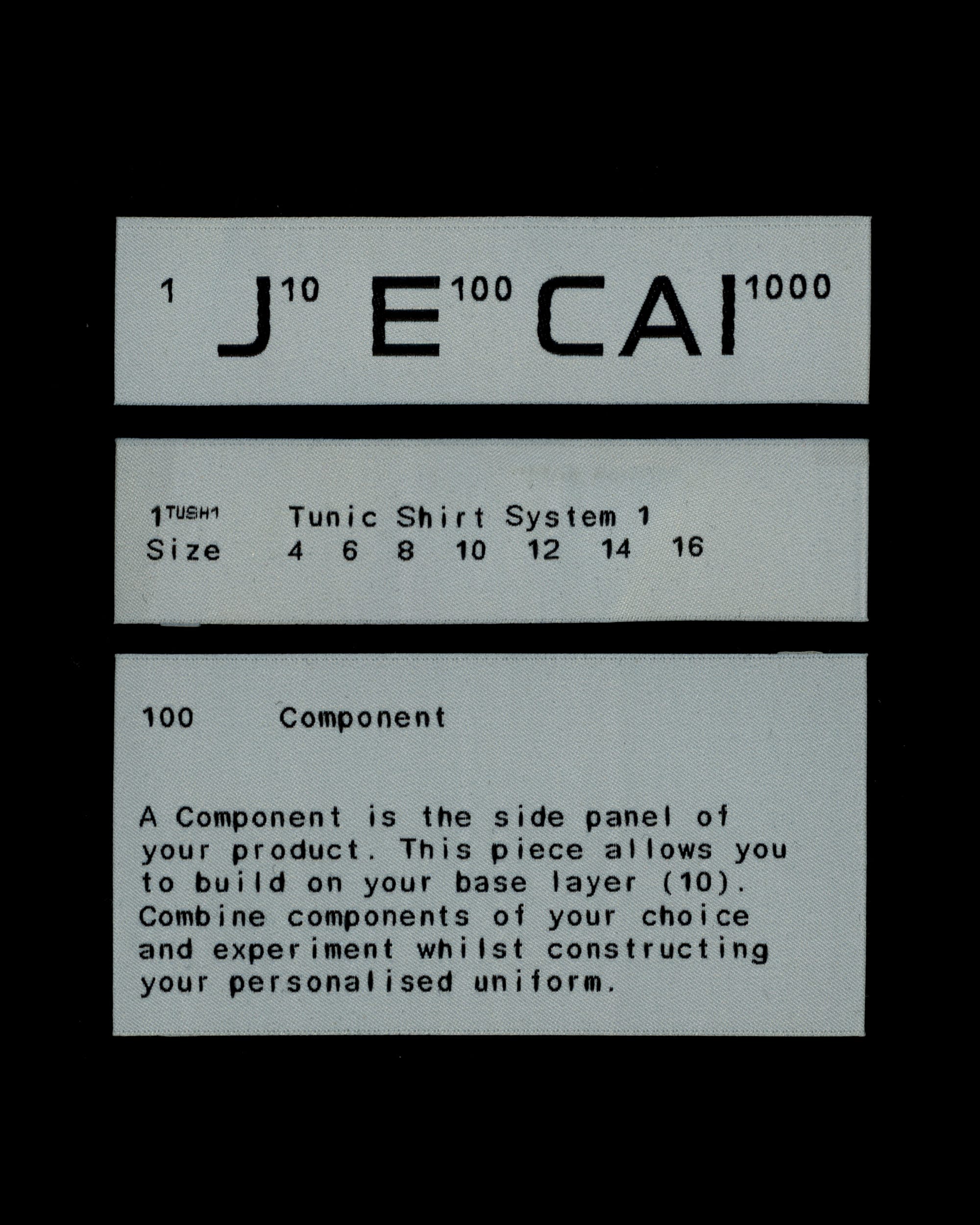 Daily Dialogue, project: J E CAI (Fig. 5)