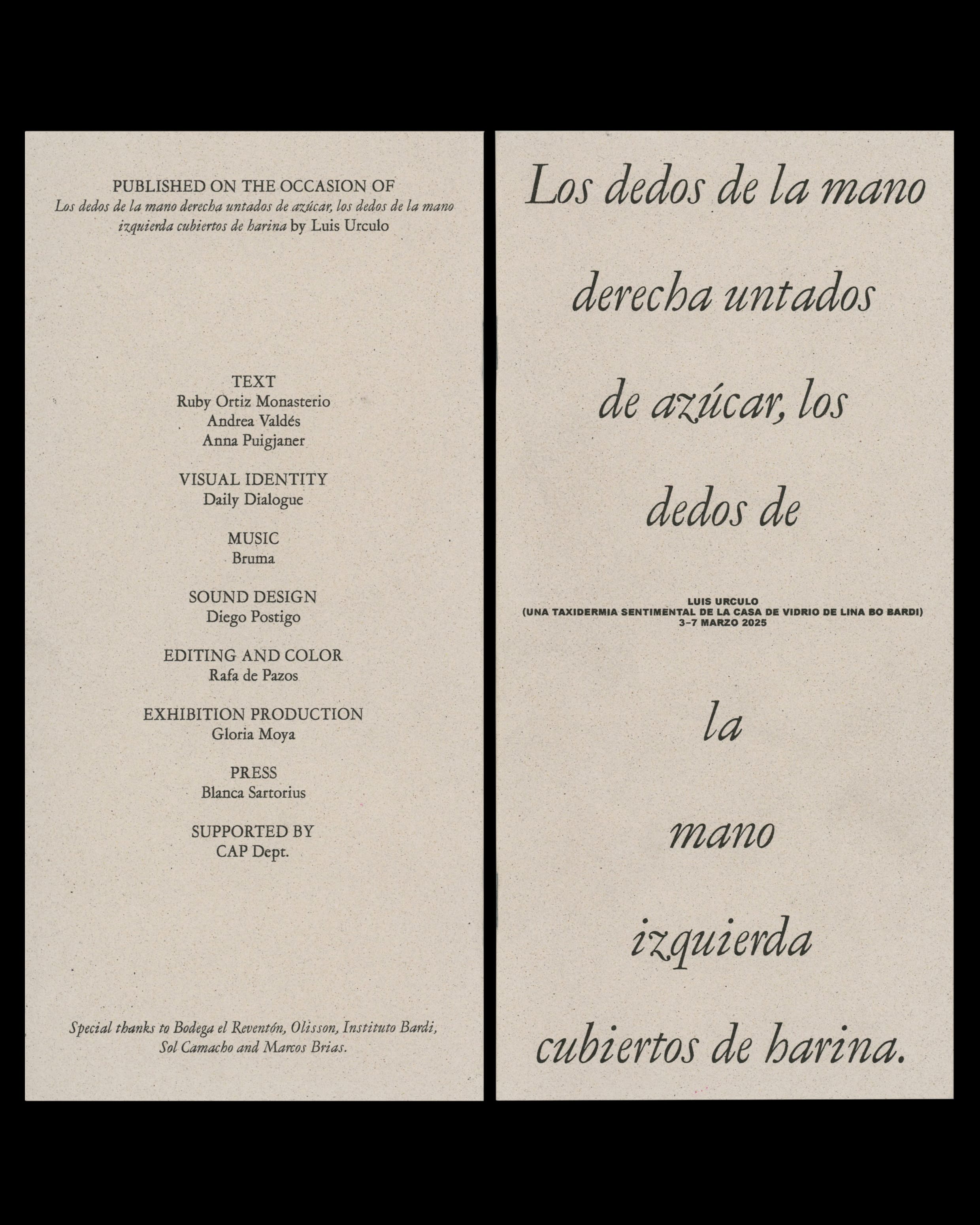 Daily Dialogue, project: La Mano derecha untada de azúcar la mano izquierda cubierta de harina (Fig. 2)