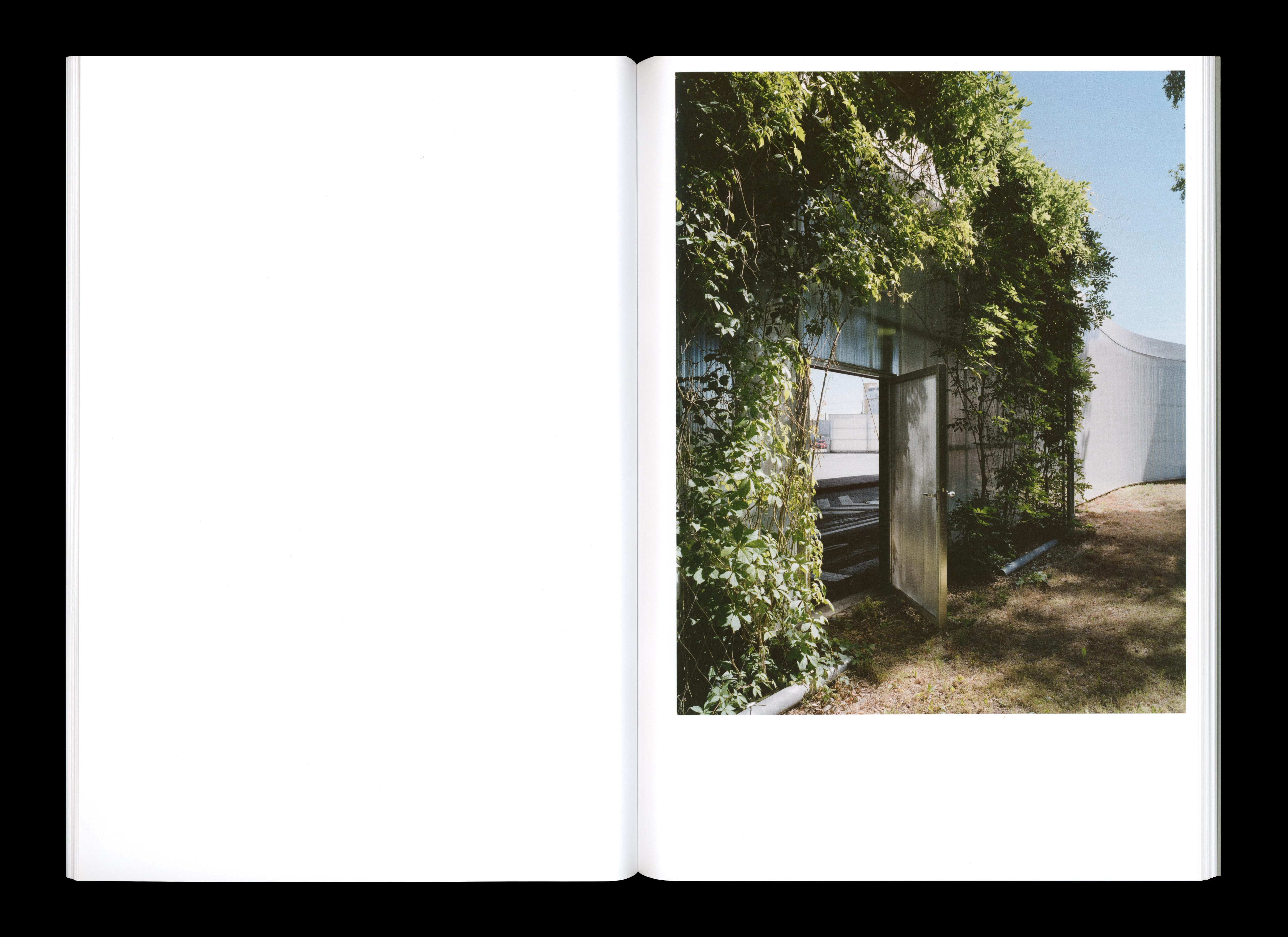 Daily Dialogue, project: MNA Publications (Fig. 4)